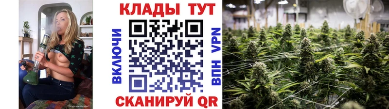 Бошки Шишки Яхрома