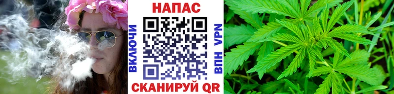 блэк спрут зеркало  Яхрома  Бошки марихуана тримм 